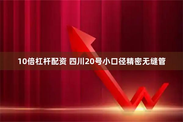 10倍杠杆配资 四川20号小口径精密无缝管